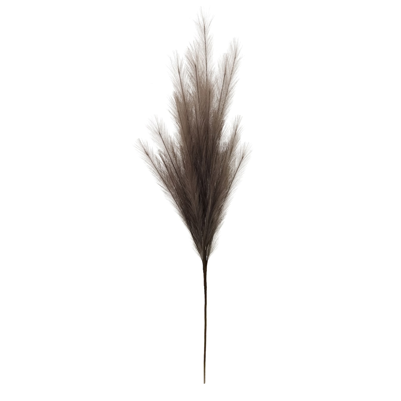 42" Light Brown Pampas Grass Stem by Ashland®